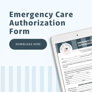 Tablet displaying an emergency care authorization form next to a “Download Here” button on a blue background.
